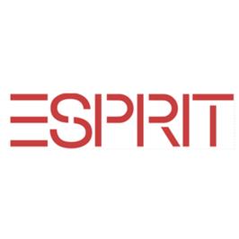 Esprit2023安装包图标