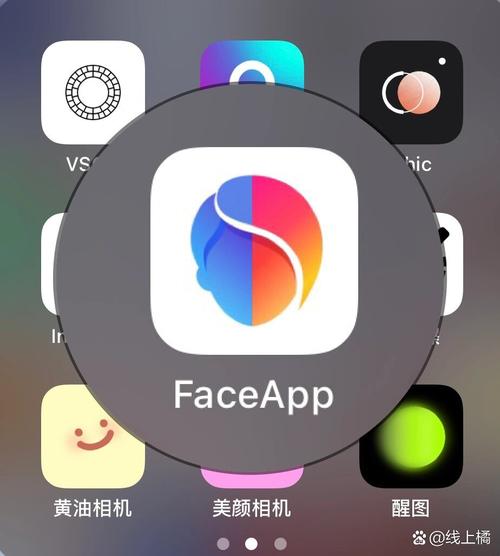FaceAPP官方版2024年最新版功能介绍