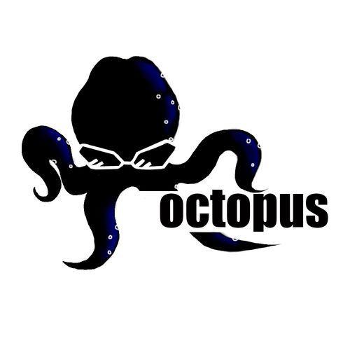 Octopus正版入口图标