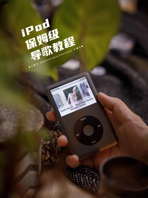 ipod的歌怎么导出图标