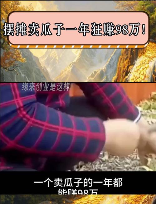 瓜子兼赚