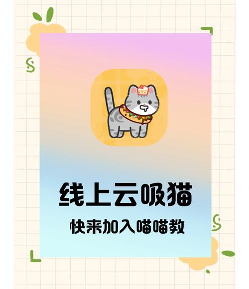 云吸猫养猫猫