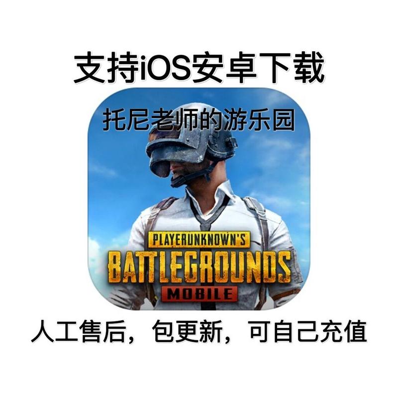 和平精英国际服辅助器免费安卓最新版游戏截图