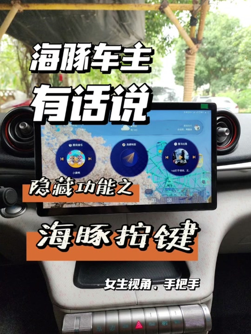 海豚nfc支持苹果手机吗图标