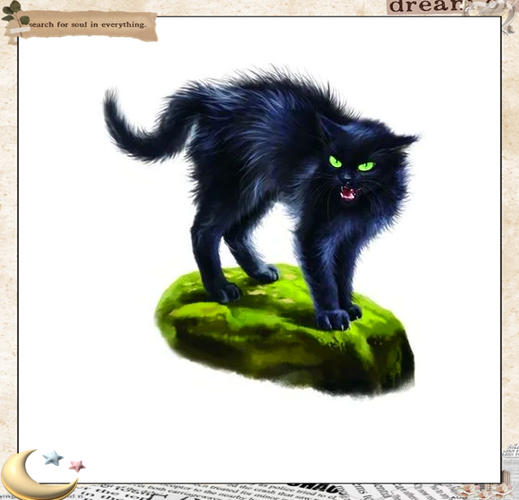 猫武士游戏下载图标