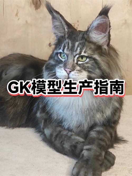 什么叫GK图标