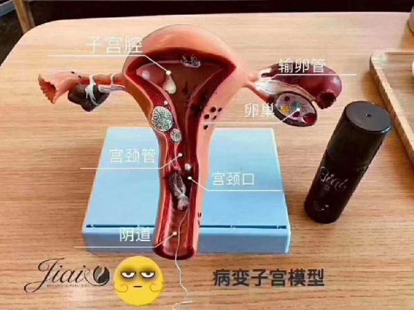 子宫下垂最好的妇科专业医院图标