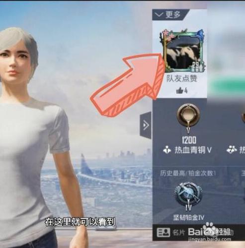 和平精英怎么更改头像照片图标