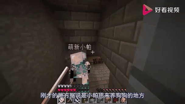 小帕游戏解说我的世界图标