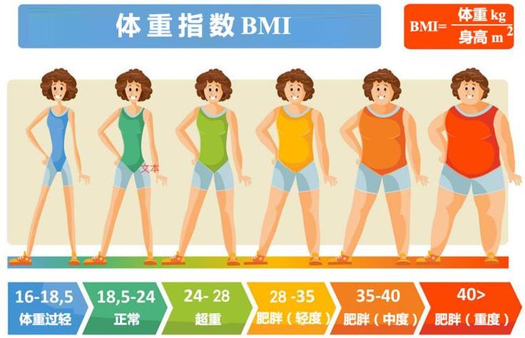 亚洲女性与欧洲女性BMI对比图标