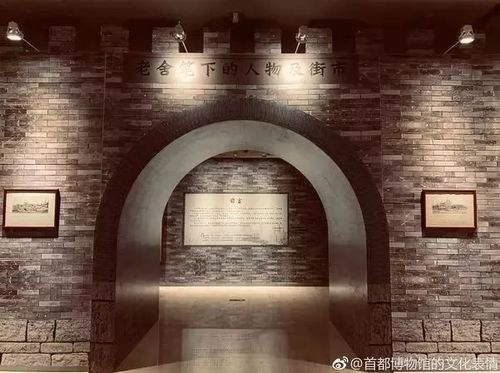 重生首都低调生活都市小说图标
