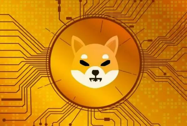 马云和比特币有关系吗