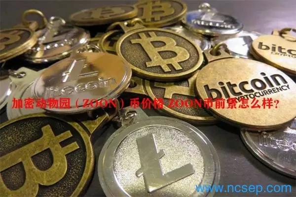 美联储卡什卡利：比特币仍然毫无用处游戏截图