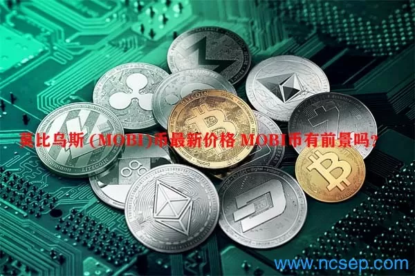 AOFEX创新型期权24H交易量2442万USDT