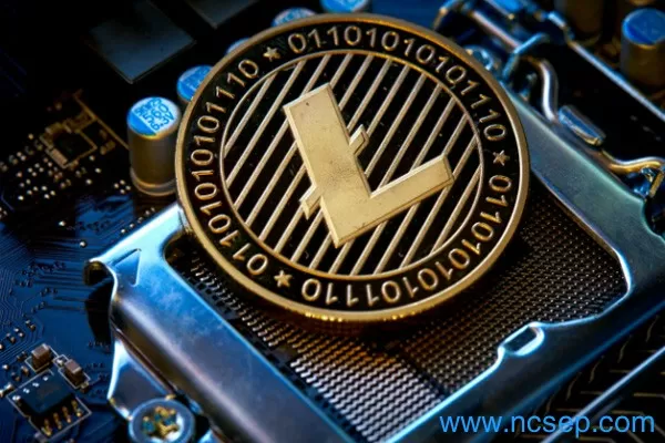 宝莱坞明星为NFT销售缴税