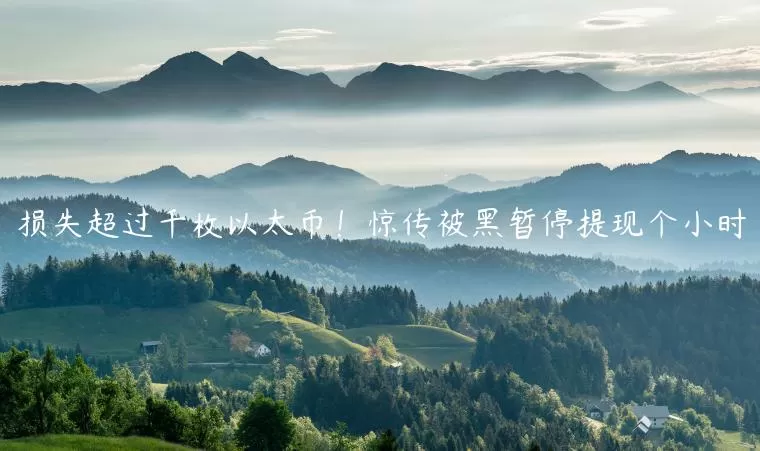 下载莱特币钱包流程图标