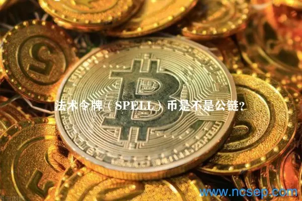 Abraxas Capital 1小时前向 Bybit 存入 1300 万 USDC