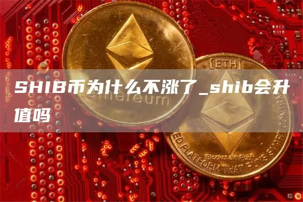 马斯克：模因数字对于加密交易员而言很重要图标