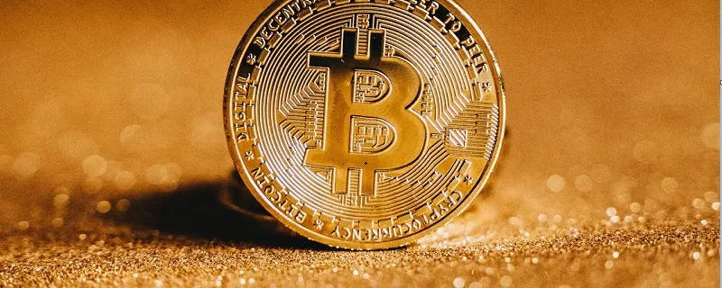 贝莱德：我们相信比特币本身就是一种资产类别图标