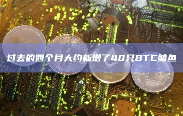 行情 | 金色盘面：做多账户比例提高至60%图标