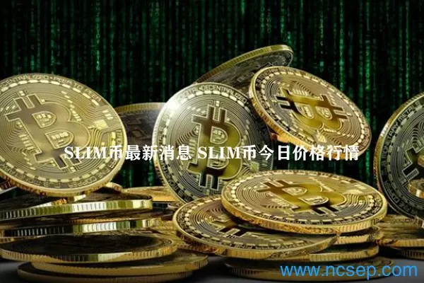动态 | 国内区块链监管自“去伪”转向“存真” 国外则多国开始推动国家数字货币发展