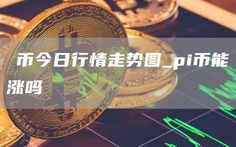 狗狗币开发者：2019年以来一直在与马斯克合作