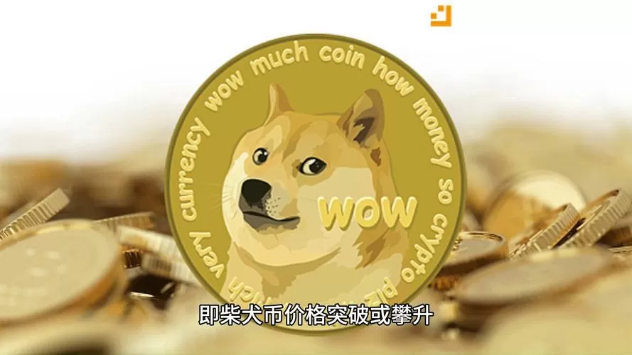 shib币官方最新消息图标