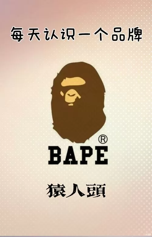 猿时代创始人图标